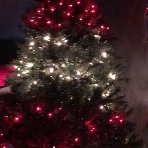 Meet your Posher, Maggie